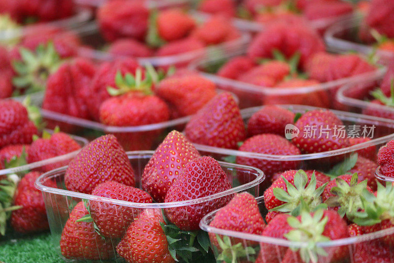 新鲜采摘的萨默塞特英国草莓/新鲜成熟的英国草莓夏季水果浆果，有机红草莓水果在市场摊位出售，人工草在篮容器，用于草莓和奶油，果酱或传统下午茶